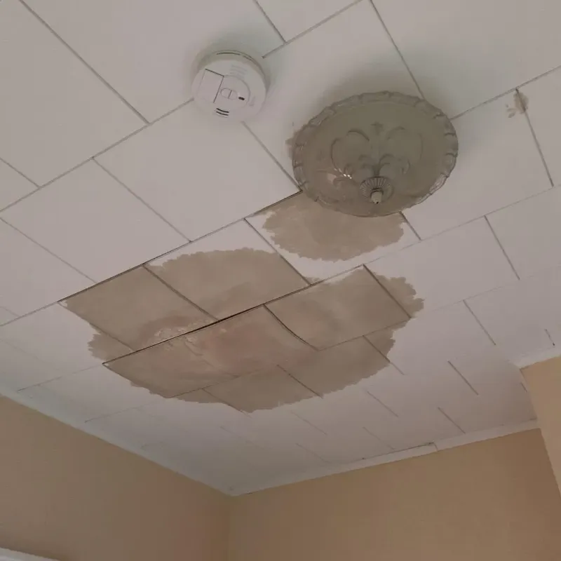 Ceiling Water Damage Repair in Aviston, IL