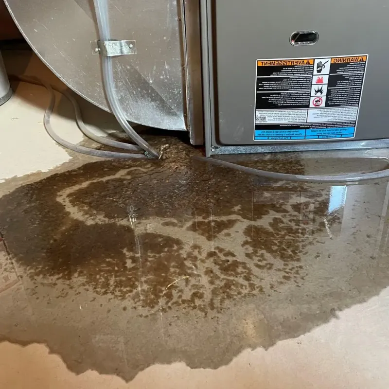 Pipe Burst and Leak Restoration in Aviston, IL