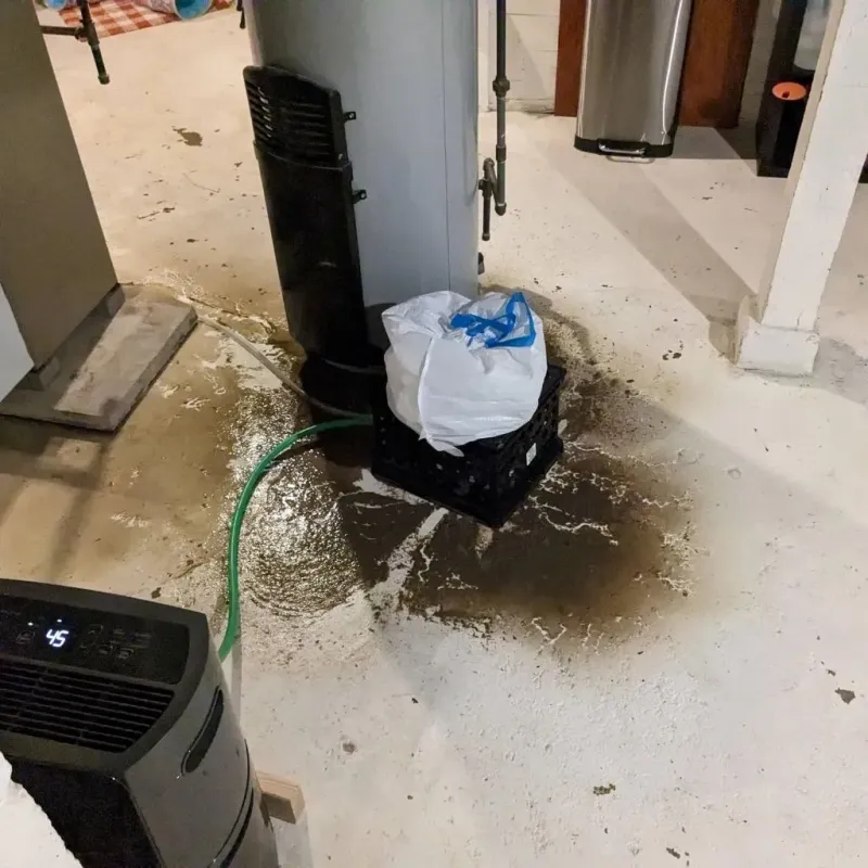 Sewage Backup Cleanup Service in Aviston, IL